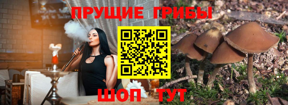 Галлюциногенные грибы мицелий  Галлюциногенные грибы мухоморы  Балашиха  Вход с VPN 